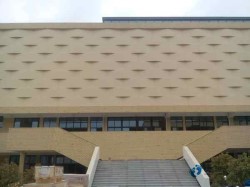 一般运动场地板施工团队