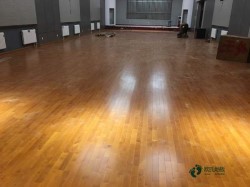 寻求体育场木地板行业品牌