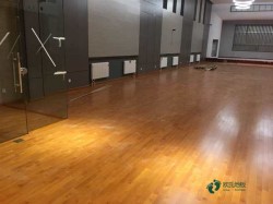 寻求体育篮球地板行业品牌