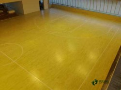 小学篮球馆木地板厂家报价