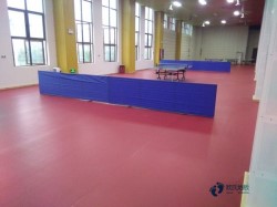 常用篮球场地地板厂家报价