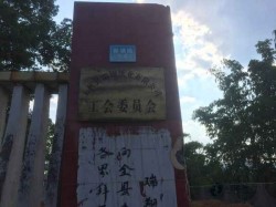 板式龙骨篮球场地木地板安装公司