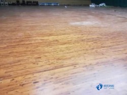 国标体育木地板厂家报价