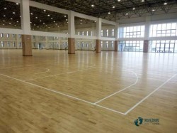 常见运动场木地板厂家报价