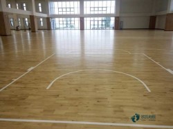 用哪种篮球体育木地板厂家报价