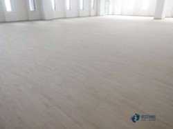 哪有体育馆木地板公司