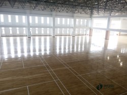 体育场地地板价格低