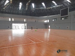 那里有体育运动地板公司