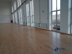 那里有运动地板公司