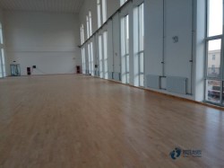 好用的篮球体育地板厂家报价