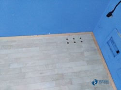 运动体育木地板较好的品牌