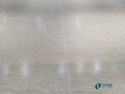 运动馆木地板品牌排行榜
