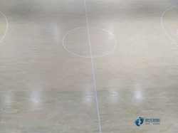 篮球体育木地板联系方式