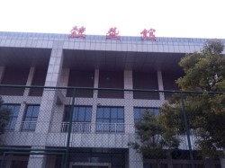 枫桦木体育馆木地板安装公司