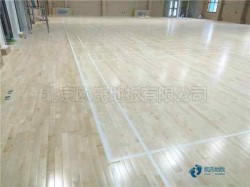 运动体育木地板价位