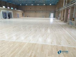 悬浮体育篮球木地板