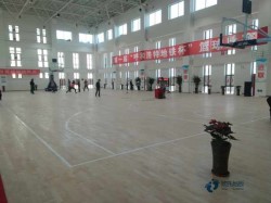 哪有体育场地地板品牌大全