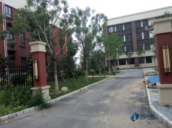 主辅龙骨运动木地板厂家报价