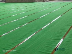 用哪种篮球场地地板安装公司