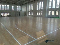 双层龙骨篮球场地板维护保养