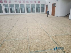 体育场地地板多少钱能下来