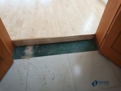 柞木体育场地木地板保养方法