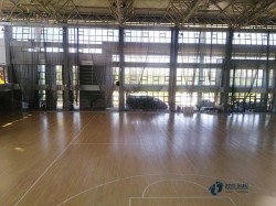 专业篮球场木地板厂家报价