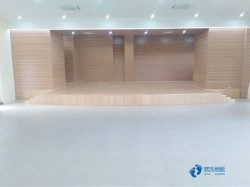 一般运动型木地板安装公司