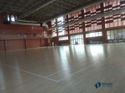 篮球场馆地板多少钱一平方米
