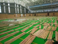 小学松木舞台体育场馆木地板施工工艺