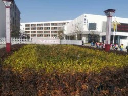 柞木体育场地板厂家报价
