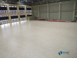 定制运动木地板品牌