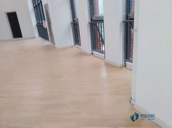 篮球馆木地板特点