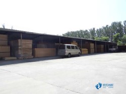20厚篮球运动木地板品牌大全
