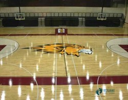 22mm厚篮球场地板哪些牌子好