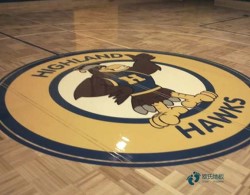 20厚运动场馆地板哪个牌子较环保