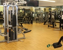 常用运动场木地板品牌排行