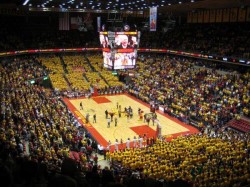 柞木运动馆木地板怎么保养