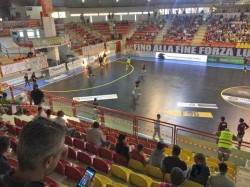 定做运动馆地板哪个品牌好